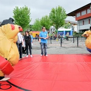 Sumo 0847