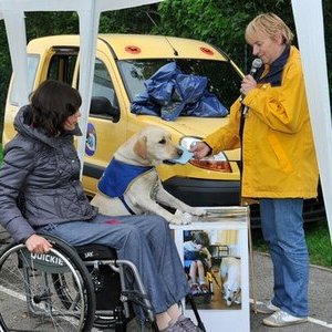 Handi chiens 0979