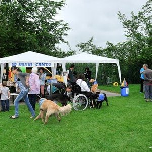 Handi chiens 0969
