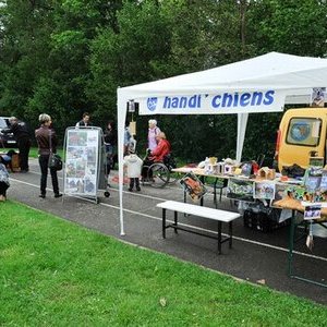Handi chiens 0819