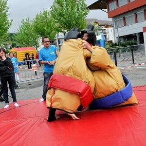 Sumo 0849