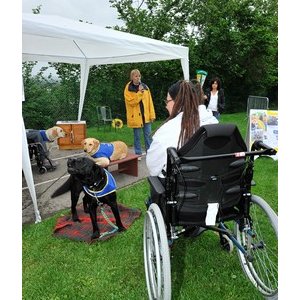 Handi chiens 0975